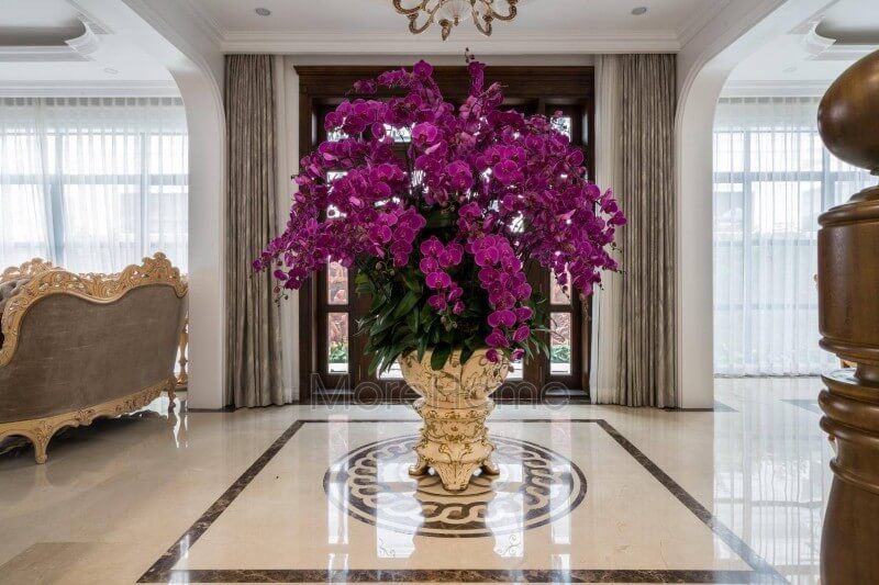 của bạn.
Không gian sảnh là nơi giao thoa giữa các phòng khác nhau, nên thay vì để trống, hãy trang trí nó bằng các chậu cây, chậu hoa để tạo nên một không gian đẹp mắt và sang trọng hơn, để làm tăng thêm sức hút cho ngôi nhà của bạn.